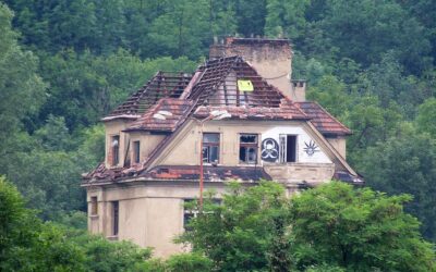 Evropský soud pro lidská práva odmítl stížnost na policejní násilí na vile Milada