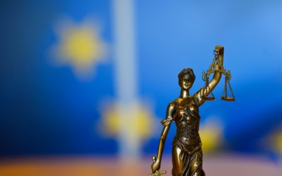 Liga poukázala na deficity české demokracie a vlády práva