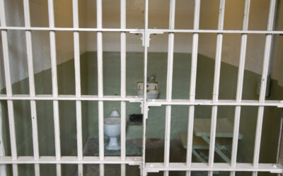 Policisté zavřeli muže do cely, kde ho spoutali a zbili